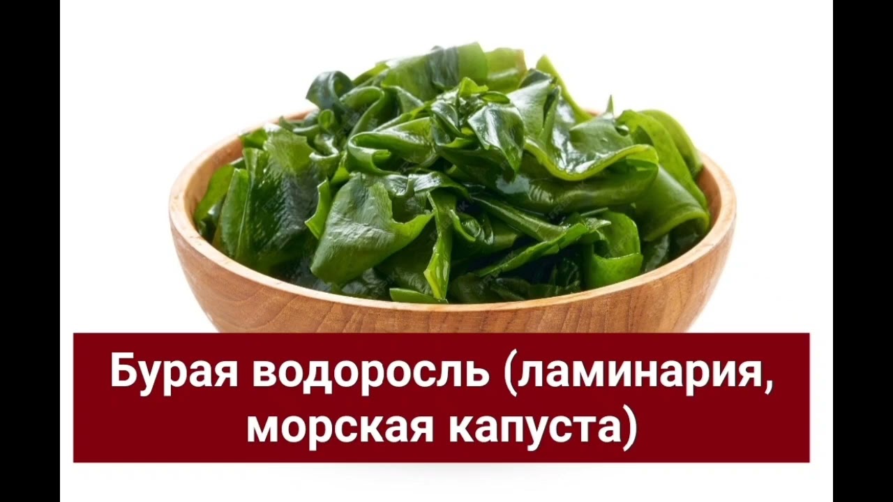 Бурая водоросль ( ламинария, морская капуста). Н . Уокер 