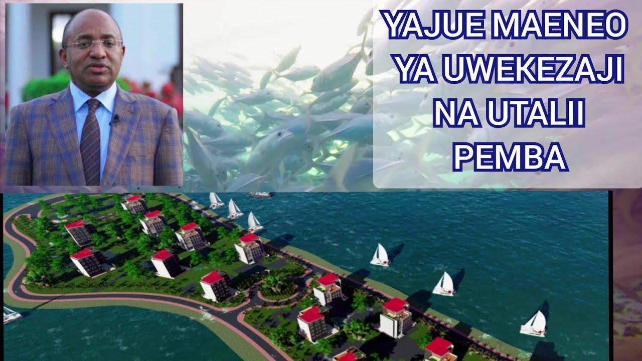 Makala maalumu ya Uwekezaji na Utalii Kisiwa cha Pemba, 2023 | Miradi mikubwa usiyoijua hii hapa |