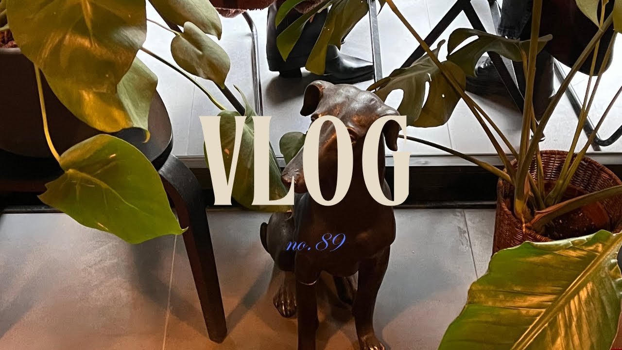 vlog 🎢 snail mail, arkadaşlarla buluşmalar￼ ve son iki haftanın güzel anları, 