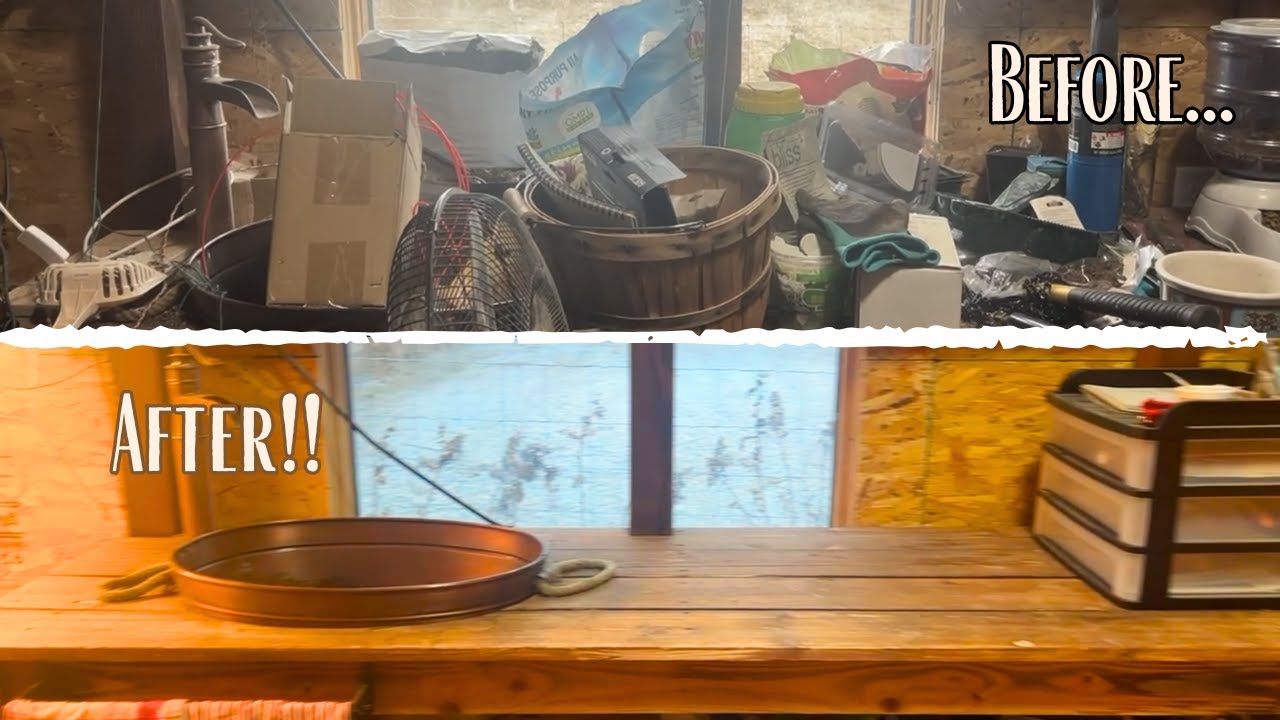 Я довел свой сарай для садового инвентаря до полного беспорядка!