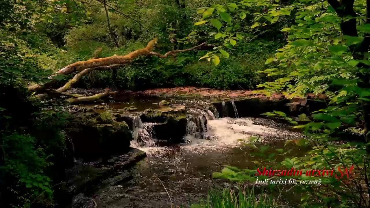 Cavid Nazim oğlunun toyu Zirə kəndi 06.06.2025