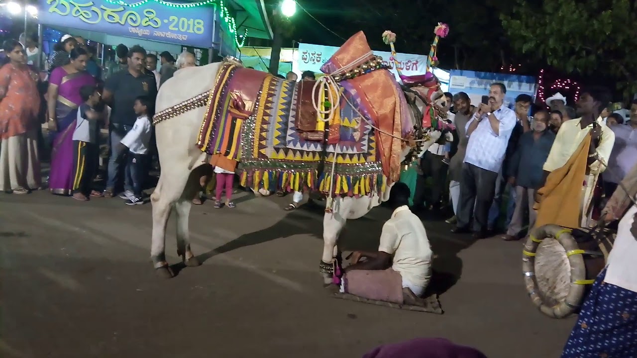 Kalamandira Mysore Kolebasava Jan 2018
