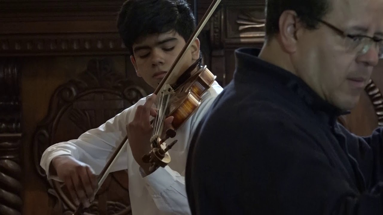 Sarasate - Aires gitanos