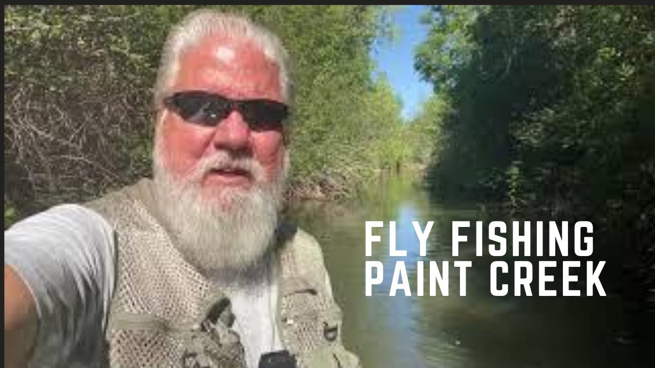 Fly Fishing Paint Creek MI (TROUT HATE ME)