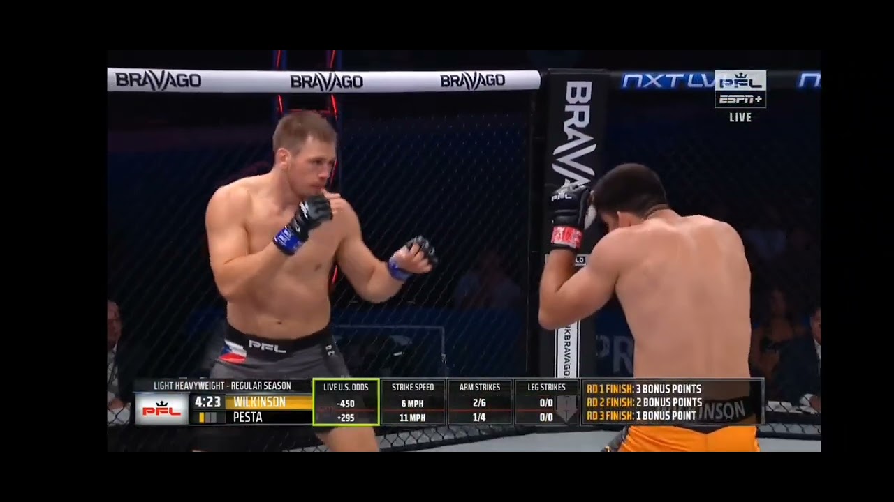 Rob Wilkinson vs. Viktor Pe&scaron;ta