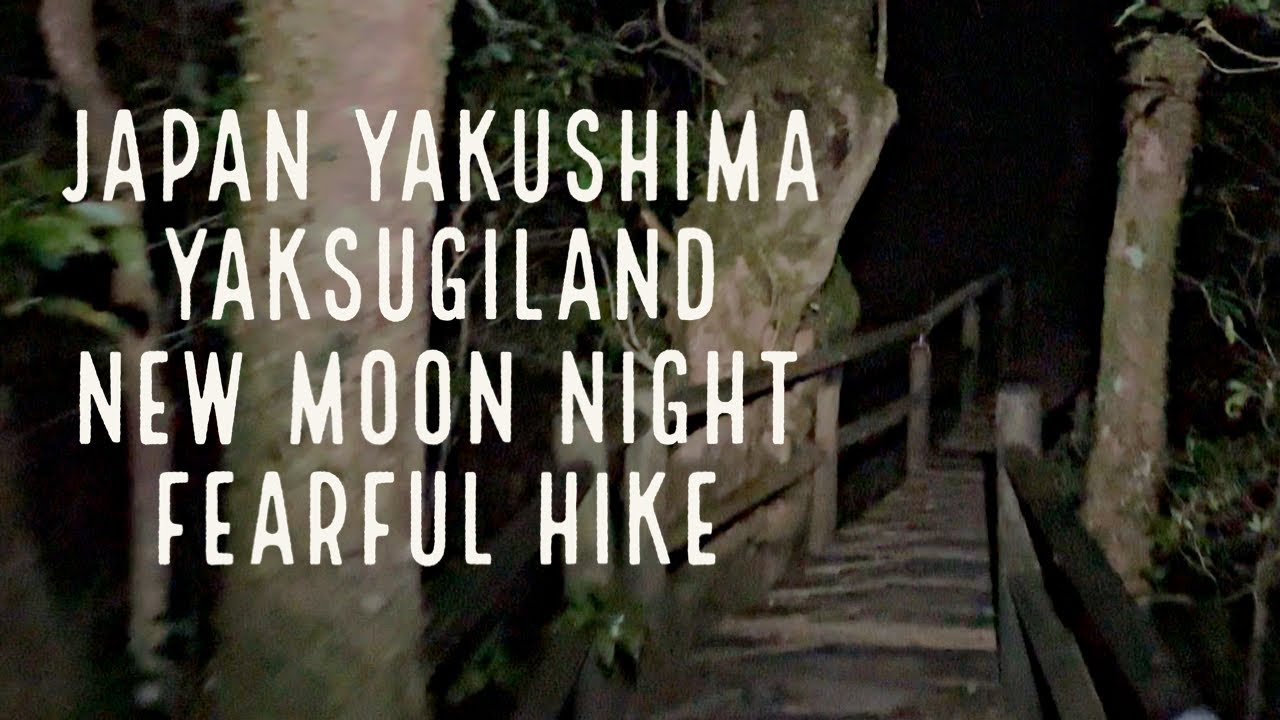 4K日本 屋久島 新月の夜 恐怖のハイキング ヤクスギランド50分コース