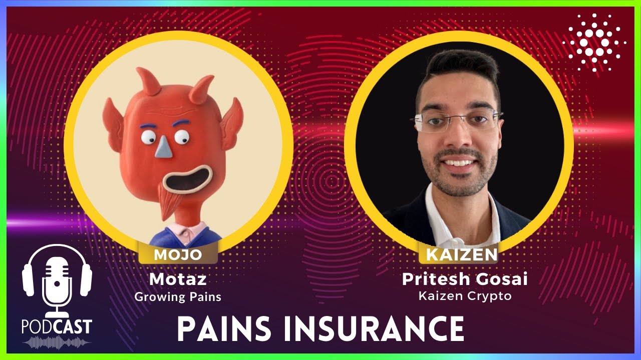 Cardano's Game-Changing Insurance Project REVEALED!