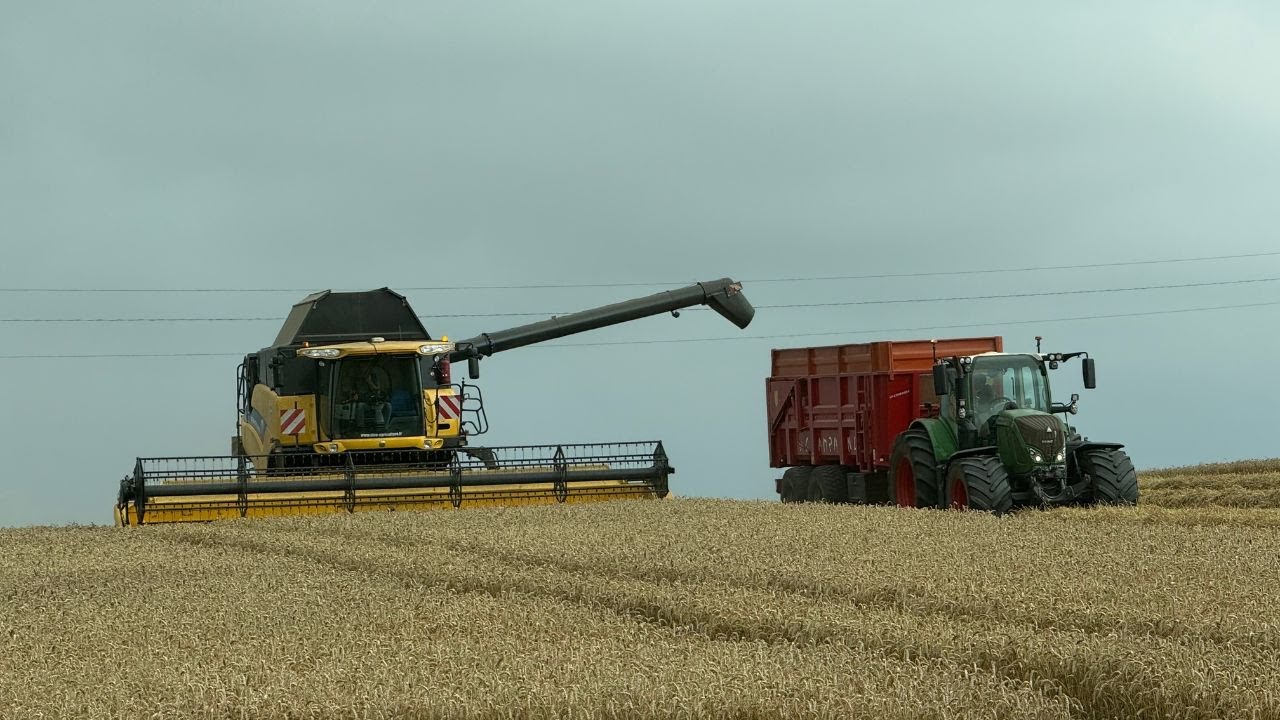 🚜DOUBLE CHANTIER DE MOISSON - BLE / COLZA 🤩🌾