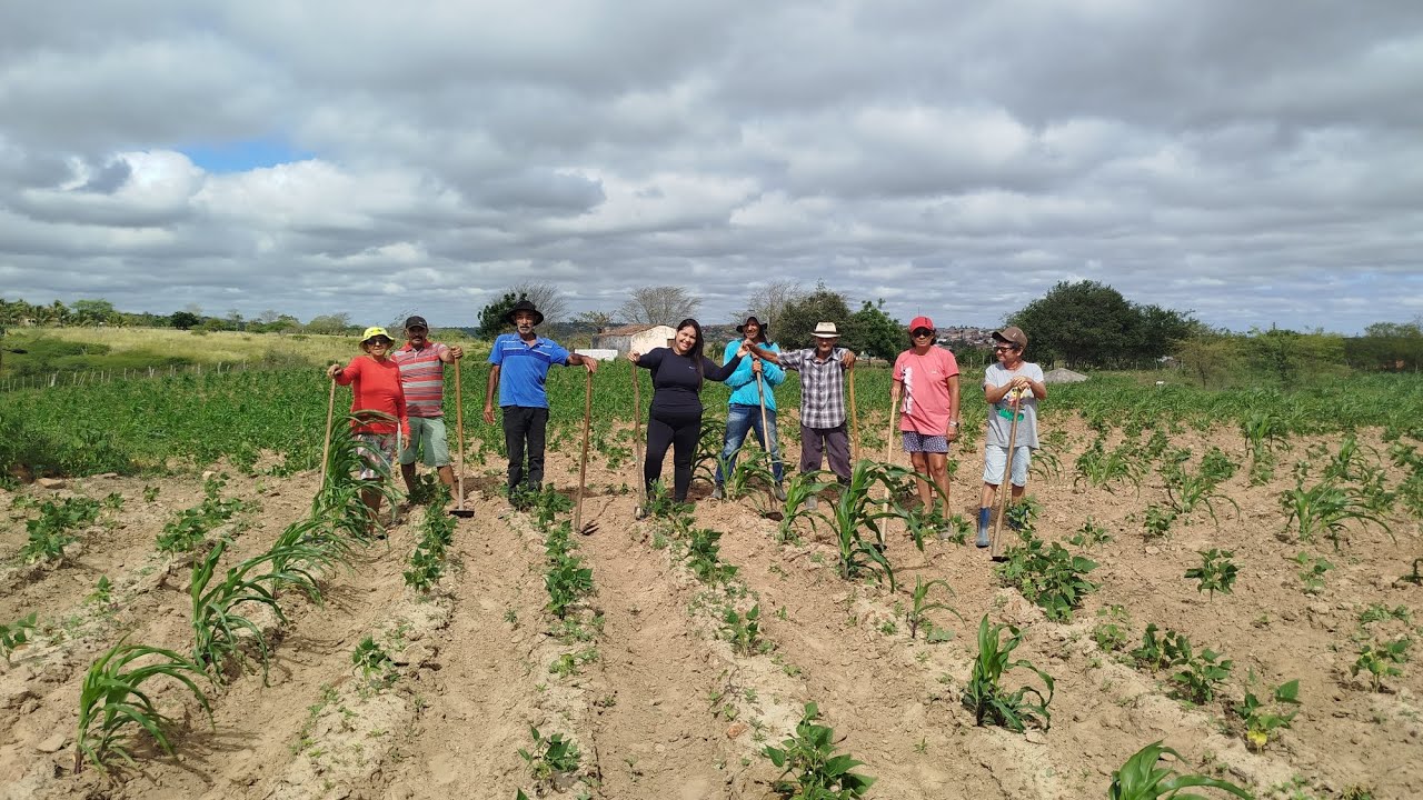Veja o trabalho do nordestino sitio  Areal município de arara PB