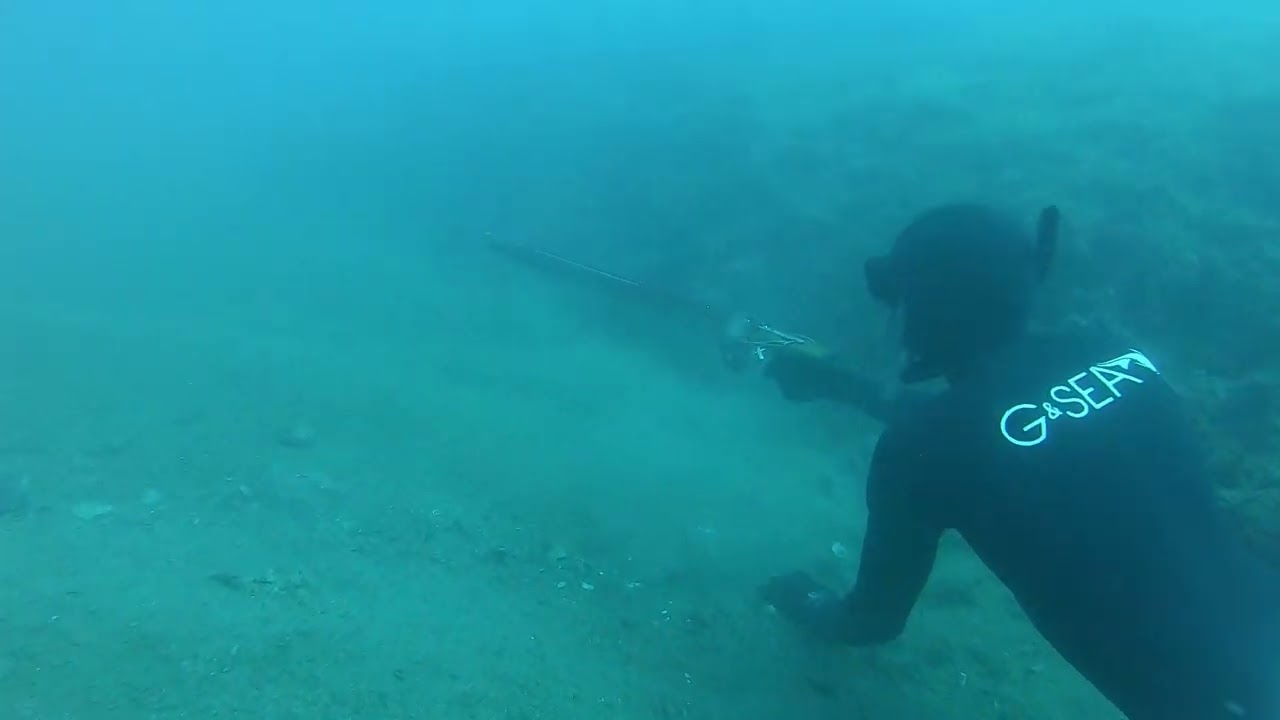 Variable Weight Spearfishing - Trigger Fish