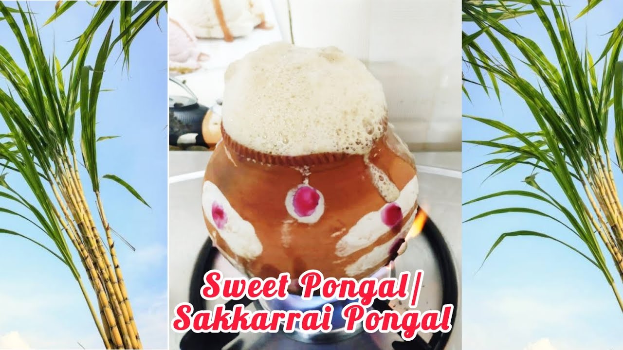 Sweet Pongal || Sakkarrai Pongal || Chakkera Pongali