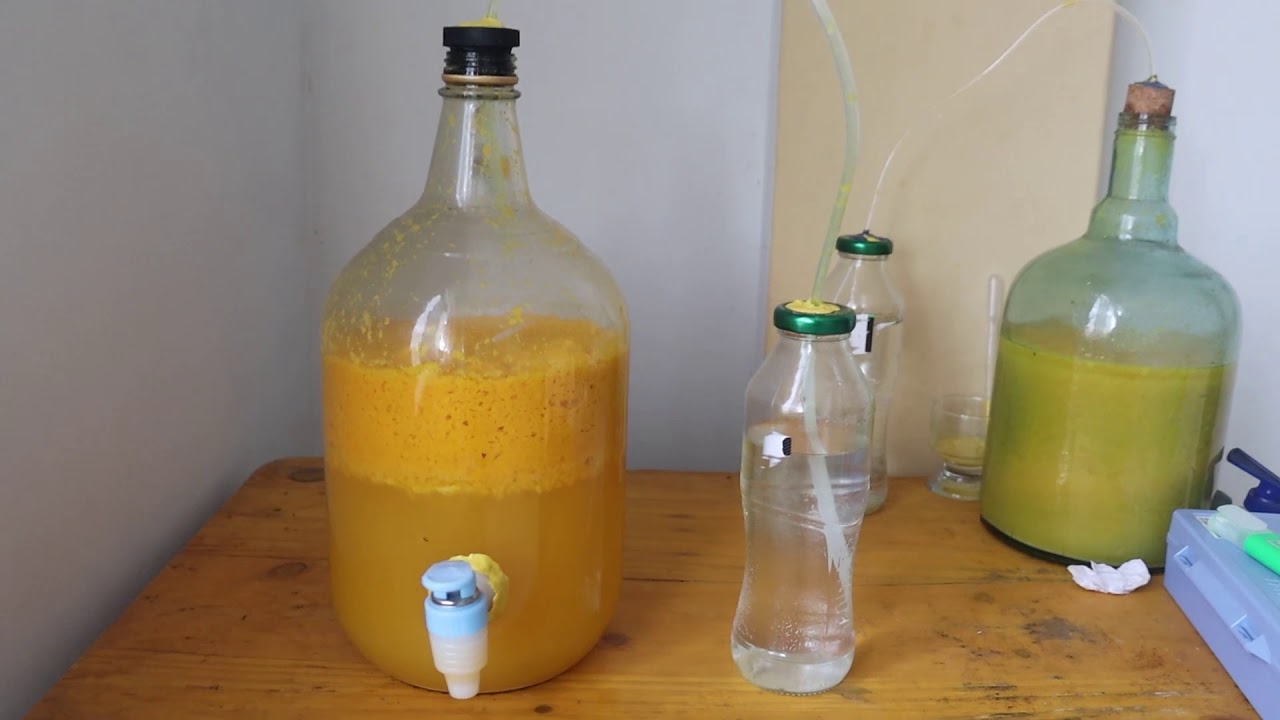 Taller bebida fermentada de Mango