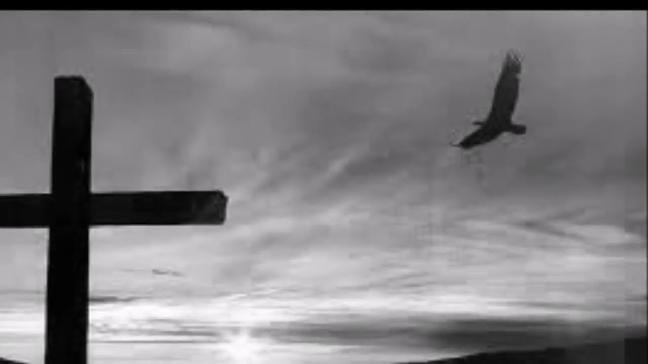 Found Real Love - Wings Of Faith (Fred Baca)