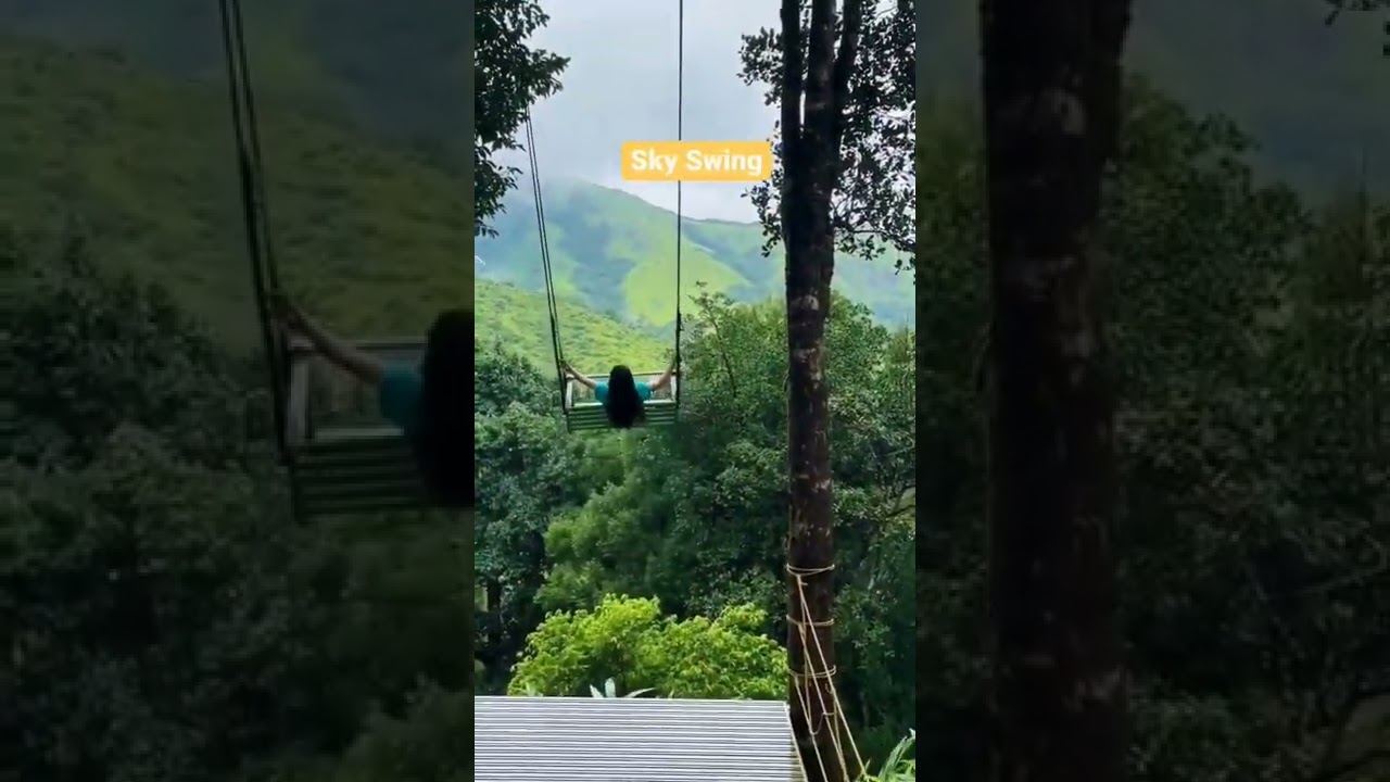 5 Things to not miss in Wayanad 