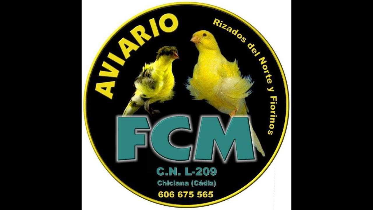 Aviario de Rizados del Norte y Fiorino de  Francisco Castañeda