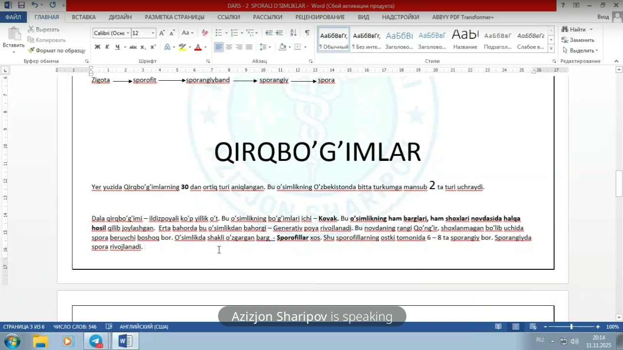 Sporali oʻsimliklar