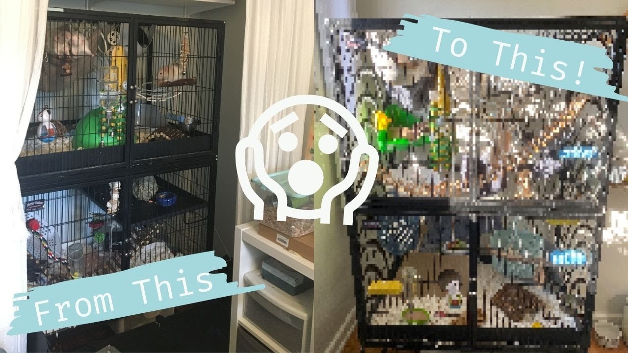 Re-doing my rat cage & haul!