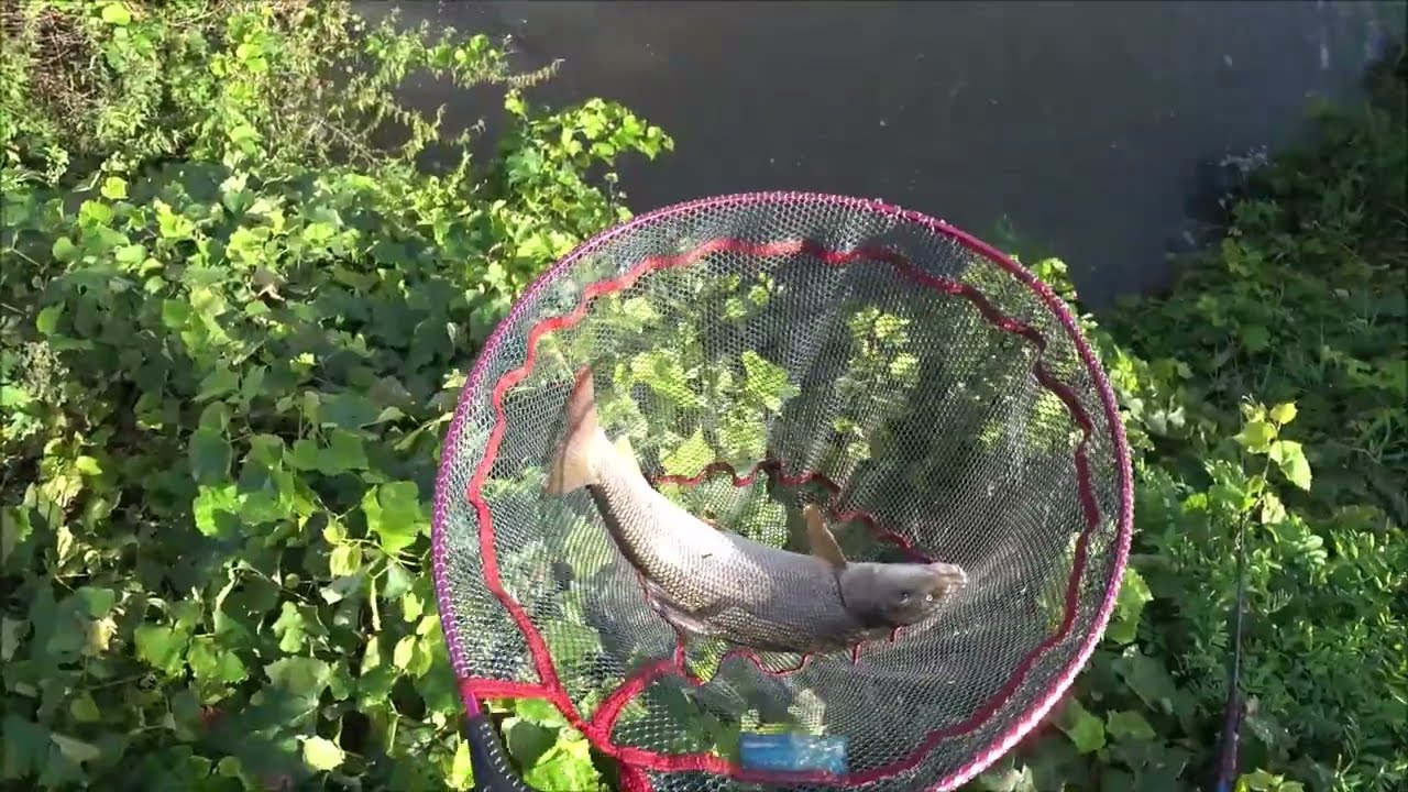 Una scena irripetibile. È solo l'inizio...