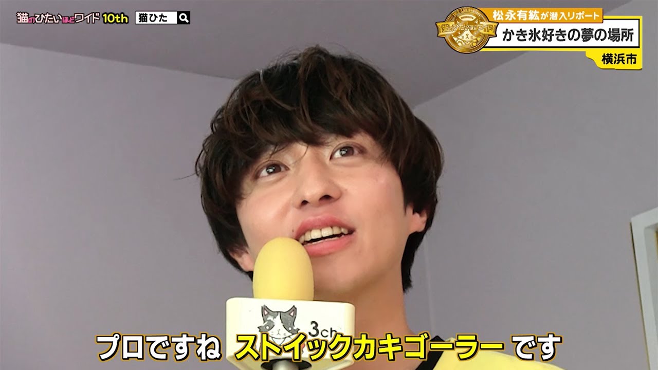 猫のひたいほどワイド #1622 リポート大賞・松永有紘「勇気の一歩を踏み出せ！？かき氷好きの夢の場所」（横浜市港北区）