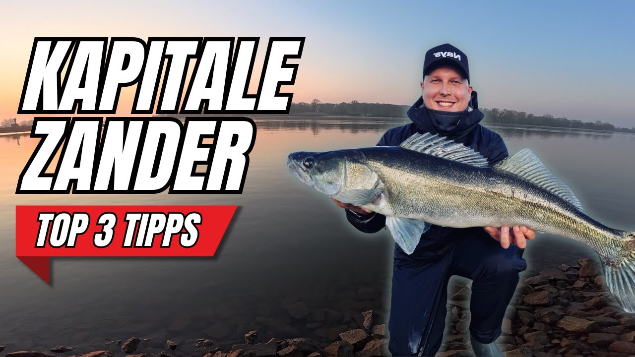 Top 3 Tipps f&uuml;r KAPITALE ZANDER im Winter!