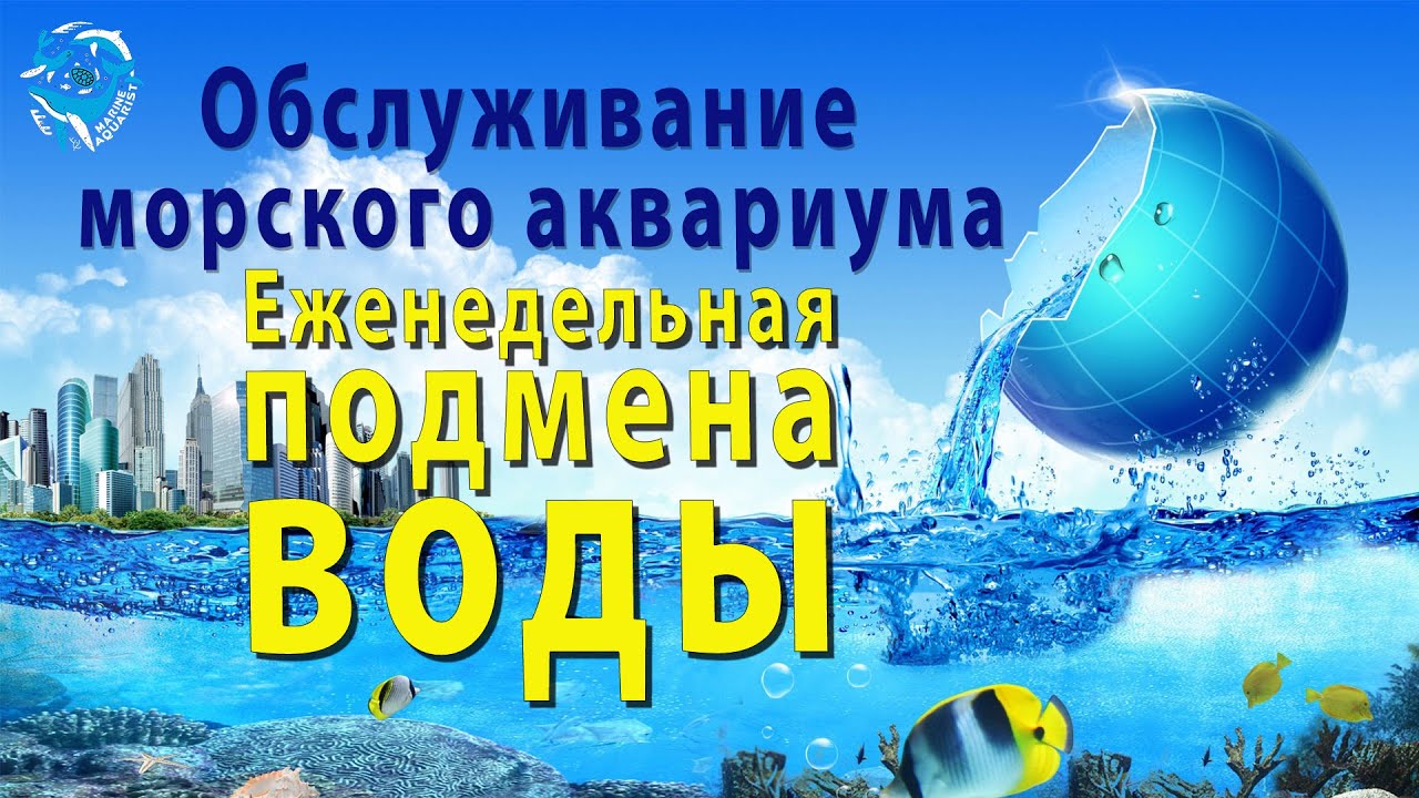 Еженедельная подмена воды в морском аквариуме. Морской аквариум 400 литров.