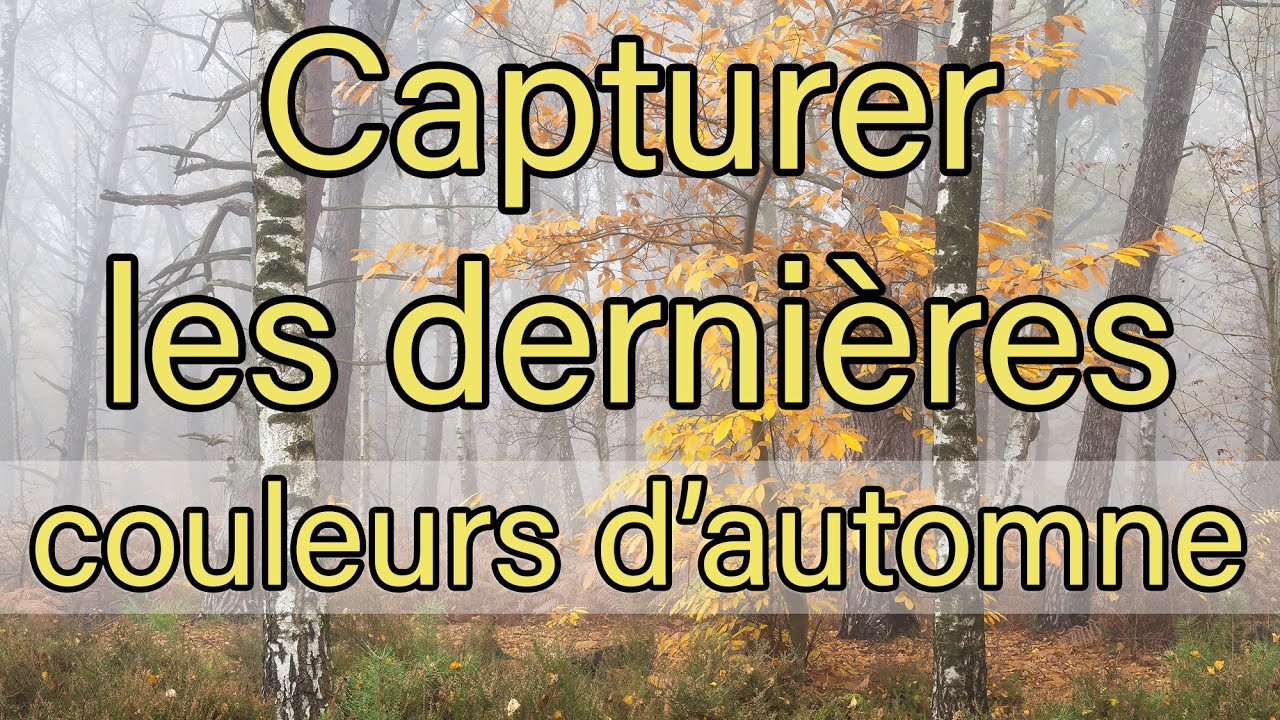 Photographier les Belles Couleurs et Atmosphères d'Automne