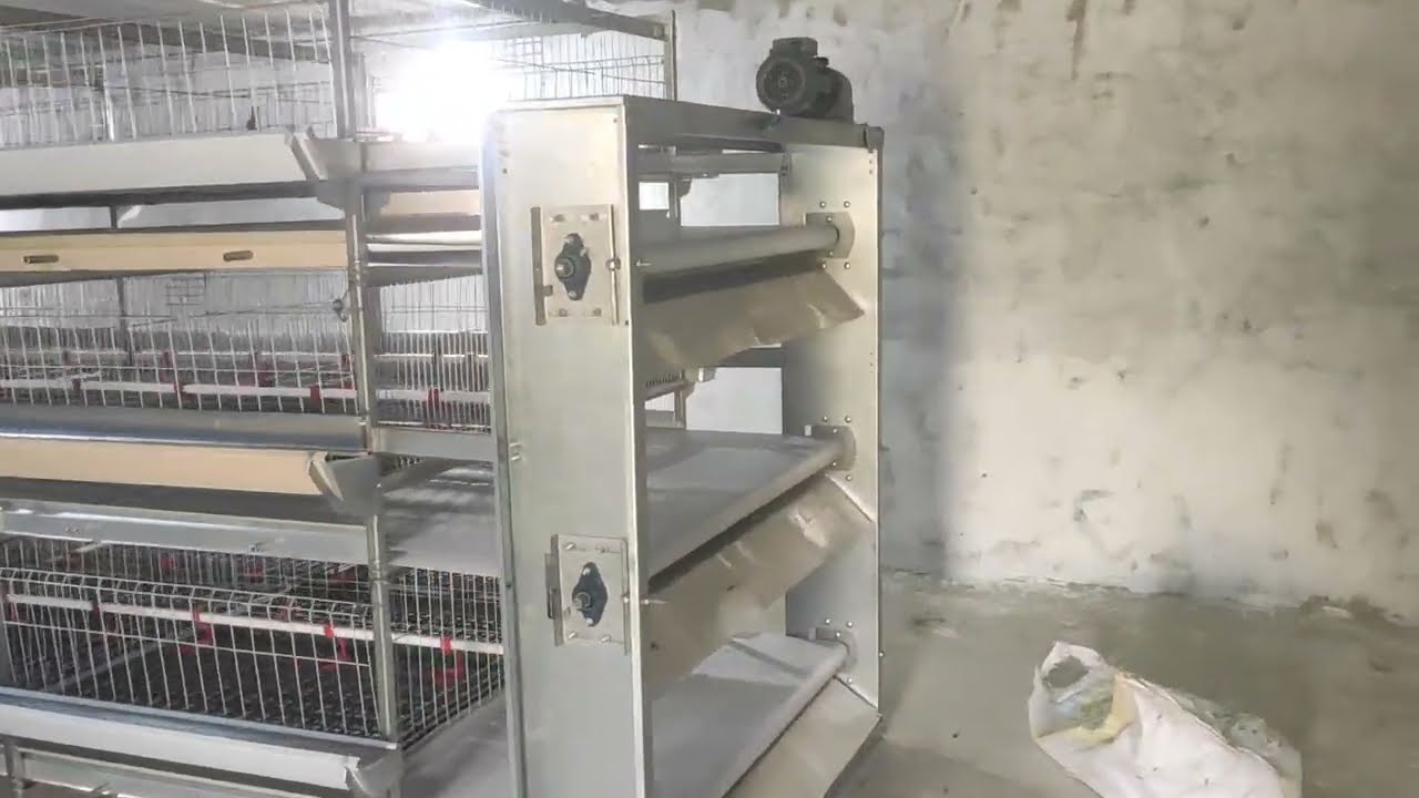 بطاريات دواجن سير سبله اتوماتيك