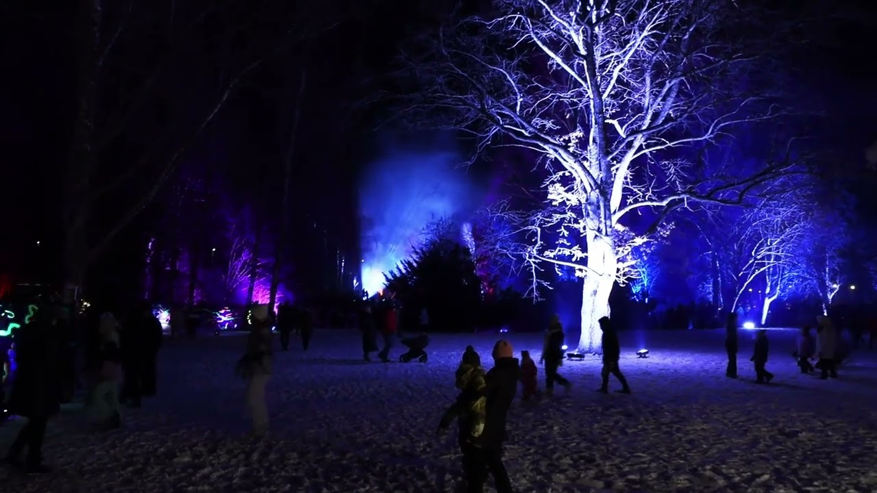 Lumottu Puisto Valotaidetapahtuma Varkaus 2024