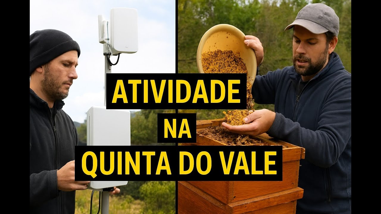 Adicionar antena HI-FI e Alimento para as abelhas