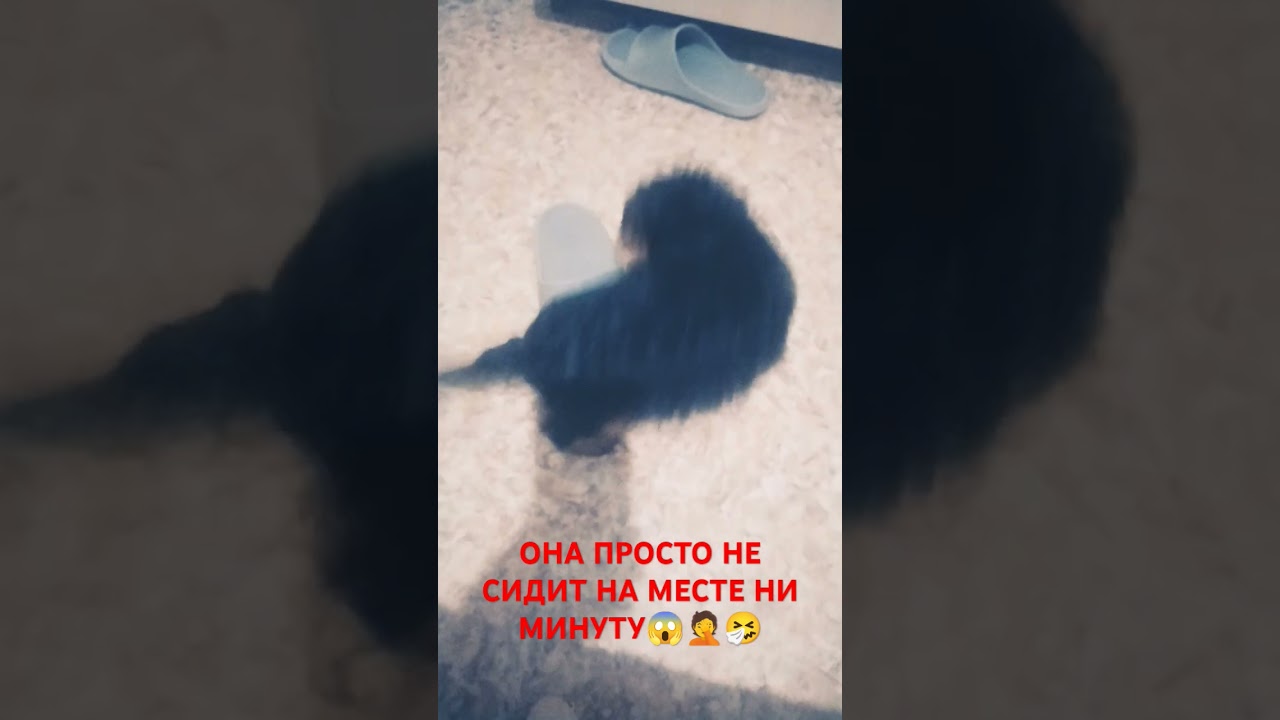 ПРОСТО УЖАСССС....🤦😱🤧