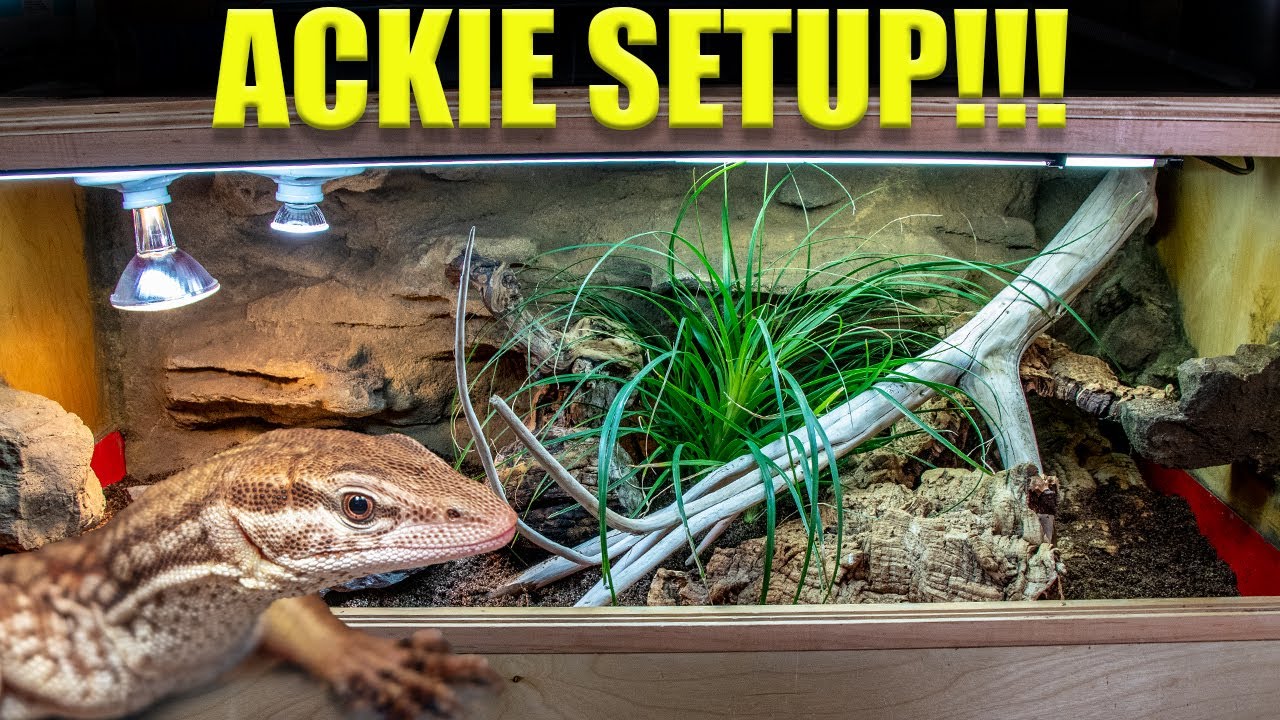 Как настроить реалистичный аквариум ACKIE MONITOR! ПРАВИЛЬНЫЙ СПОСОБ!