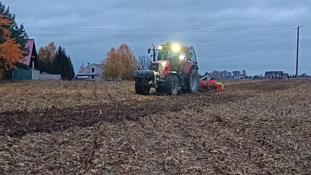 Sorgo - hit czy kit?
