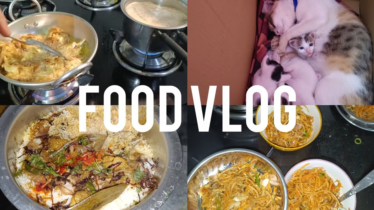 Full day food vlog | biryani recipe | cats | #food #cooking #biryani #trending #yt 