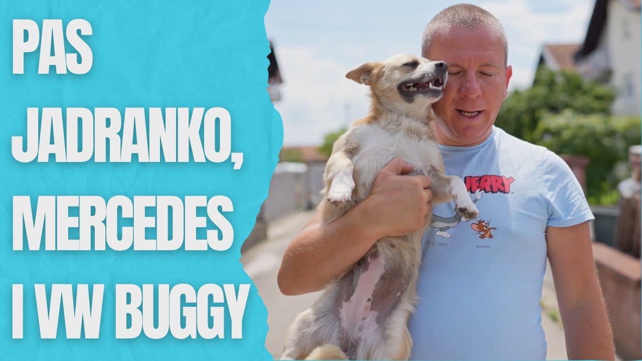 Jedna sasvim obična kupovina oldtimera - na selu!