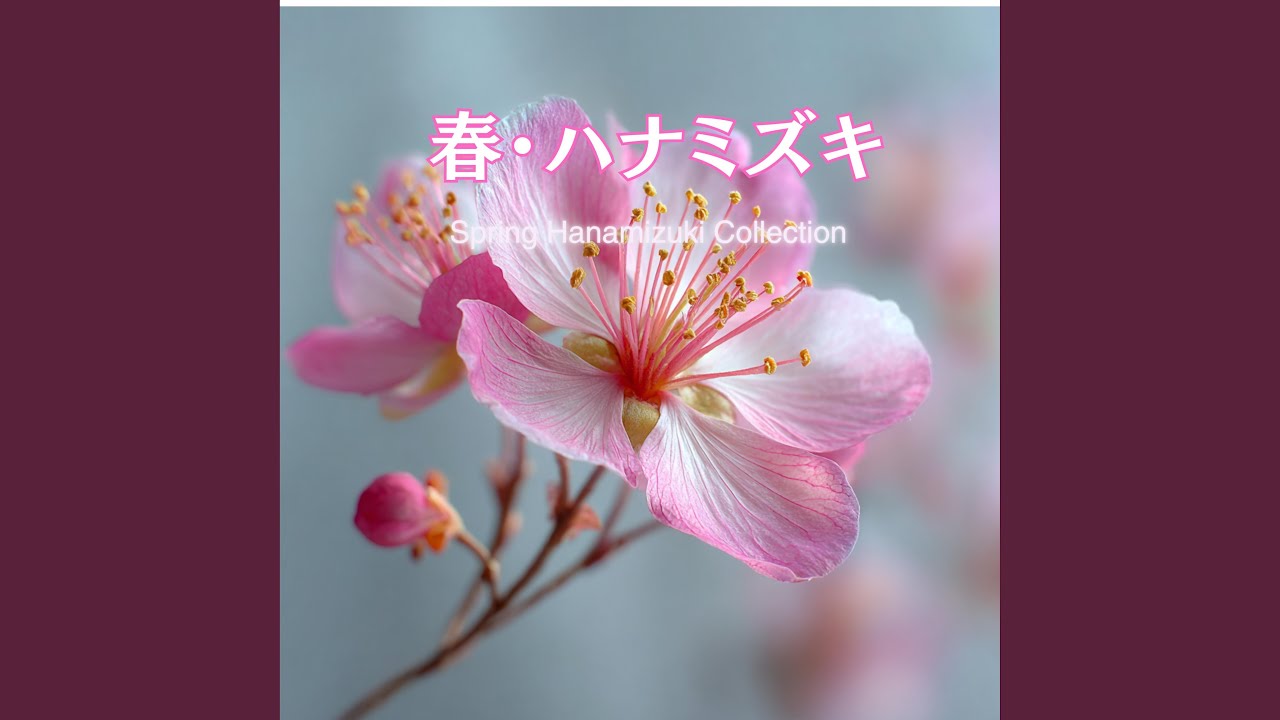 ハルキラリ &ndash; Spring Pop