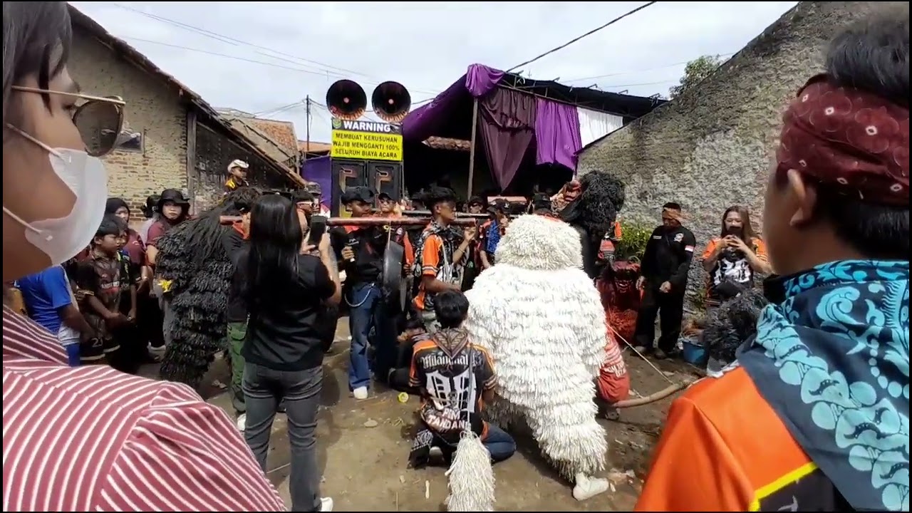 Tandang makalangan seni reak kombinasi pusaka galur manunggal 📍di lembur sawah sapan 🫶