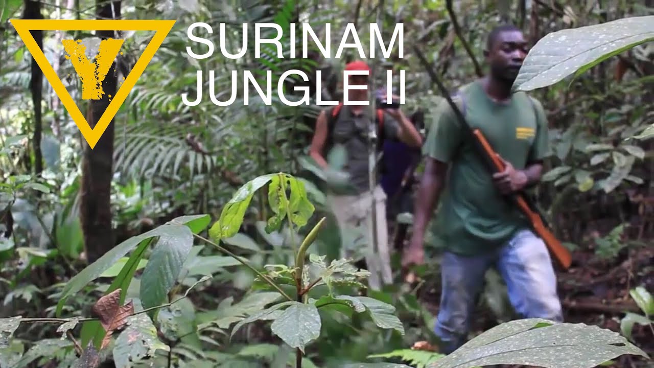 Amazon Jungle Expedition in Suriname Rainforest ( Part II )