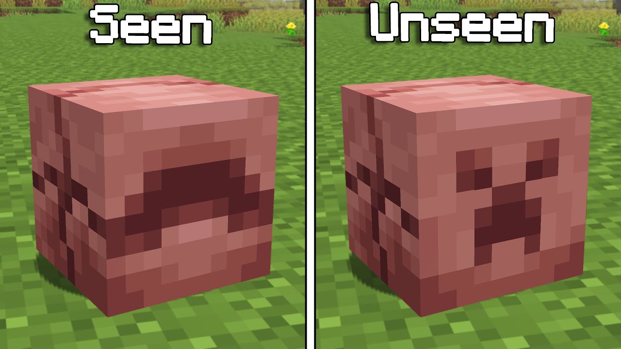 Minecraft Things You CAN'T UNSEE (Hindi)