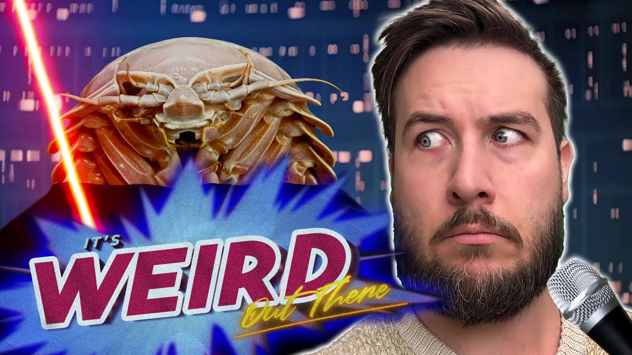 The Most Bizarre News Stories┃IT'S WEIRD OUT THERE - EP. 1