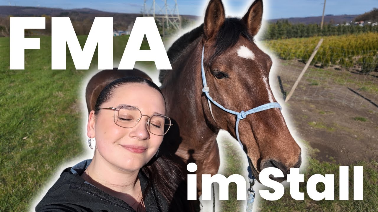Inchi REIßT sich LOS! Galopp-Training: FMA im Stall