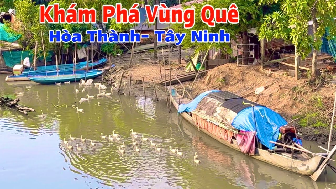 Khám Phá Vùng Quê Yên Bình Vào Buổi Chiều Của Phường Hòa Thành Tây Ninh