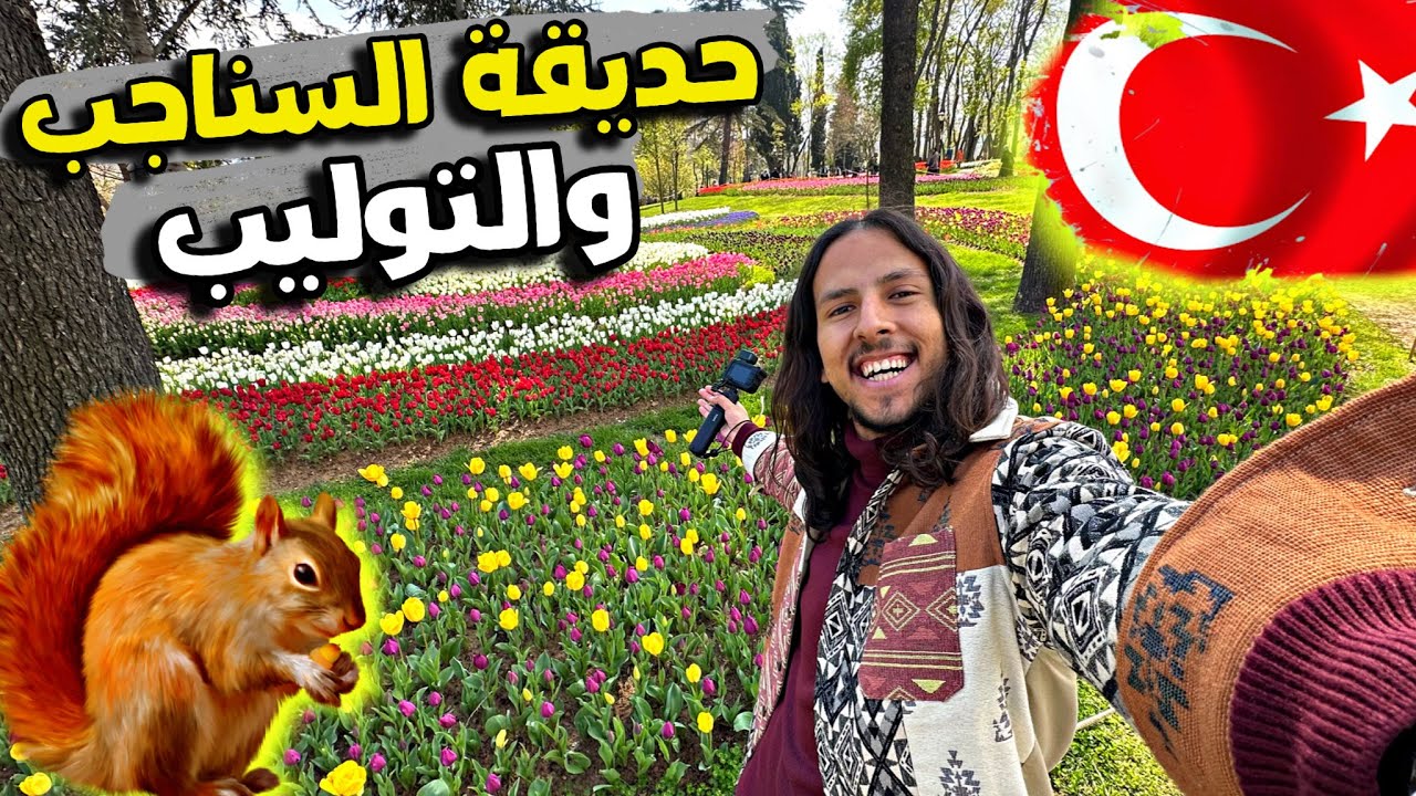 حديقه السناجب والتوليب في اسطنبول 🐿️ 🥀 - اجمل حدائق تركيا ودخولها مجانا للجميع 🇹🇷😨