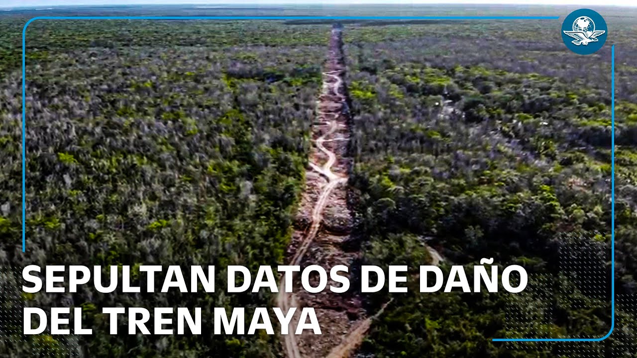 Ocultan da&ntilde;os de Tren Maya por &ldquo;seguridad nacional&rdquo;