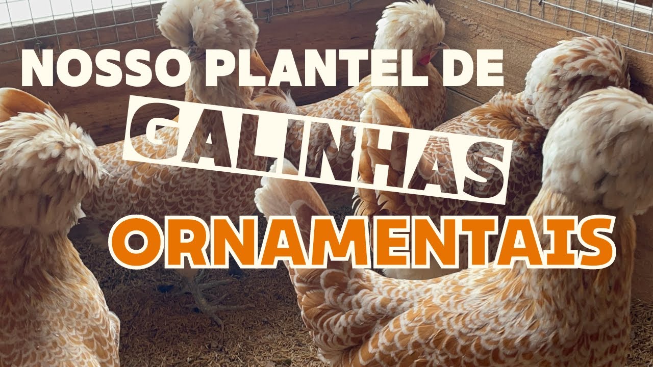 Criatório Paloschi