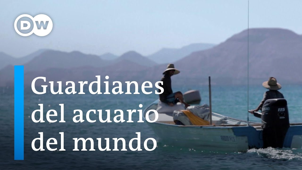 Pesca responsable en México