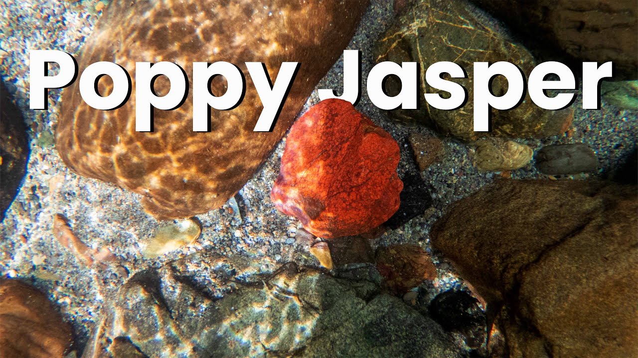 Rare Gemstones of Nelson: Unearthing Poppy Jasper