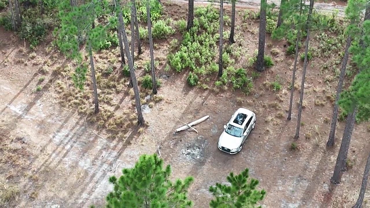 Ocala National Forest campsite flyovers