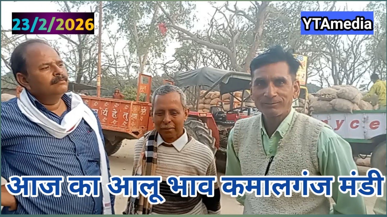 आज का आलू भाव | मंडी कमालगंज आलू भाव | Today Potato Rate kamalganj mandi |YTAmedia