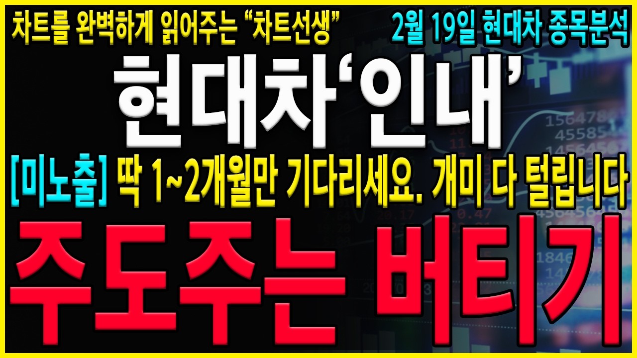 [현대차 주가 전망] 