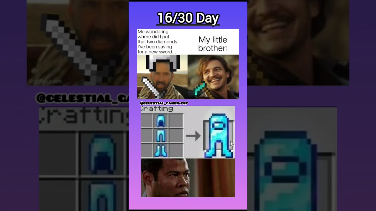 16/30 Day of posting Minecraft meme 